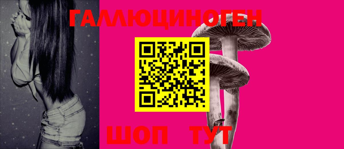 Псилоцибиновые грибы Psilocybine cubensis Скопин